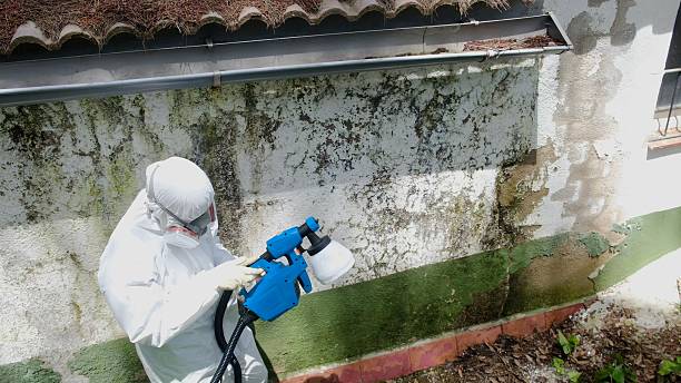 Top rated local Mold Cleanup specialists in Parkhill, PA